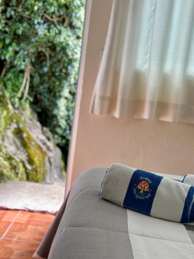 Bungalows Andrea Tepoztlán Dış mekan fotoğraf